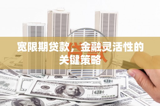 洛扎宽限期贷款，金融灵活性的关键策略