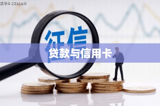 洛扎贷款与信用卡