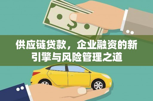 洛扎供应链贷款，企业融资的新引擎与风险管理之道