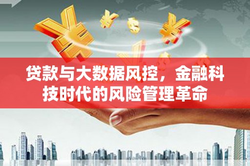 洛扎贷款与大数据风控，金融科技时代的风险管理革命