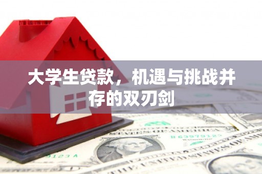 洛扎大学生贷款，机遇与挑战并存的双刃剑