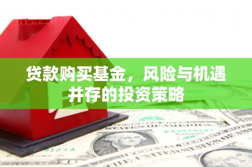 洛扎贷款购买基金，风险与机遇并存的投资策略