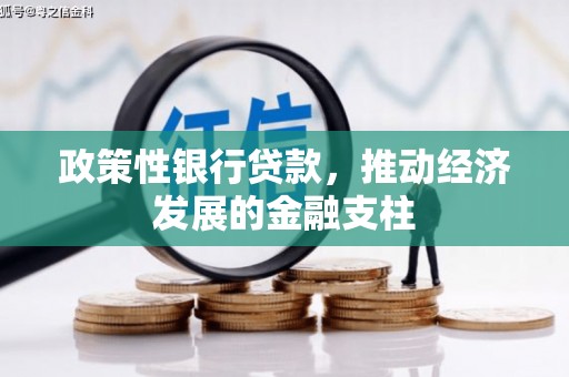 洛扎政策性银行贷款，推动经济发展的金融支柱