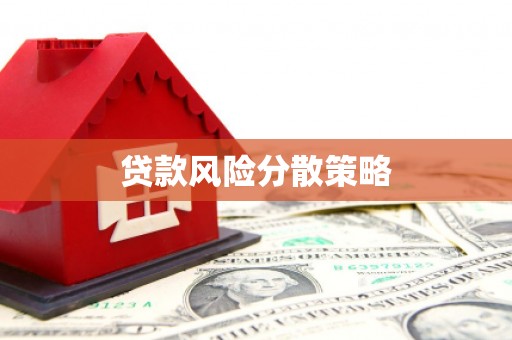 洛扎贷款风险分散策略
