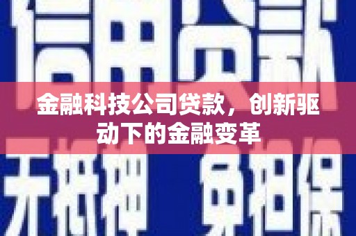 洛扎金融科技公司贷款，创新驱动下的金融变革