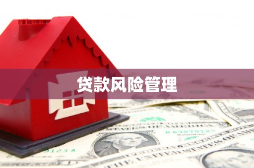 洛扎贷款风险管理