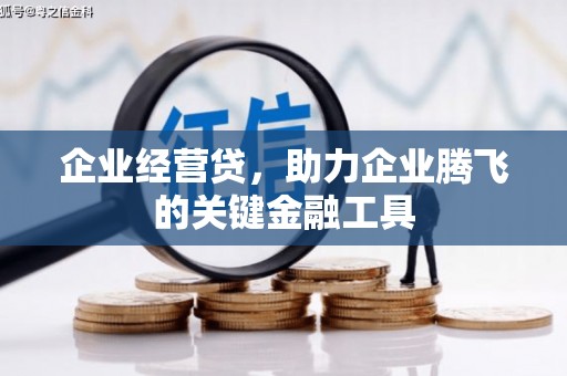 洛扎企业经营贷，助力企业腾飞的关键金融工具