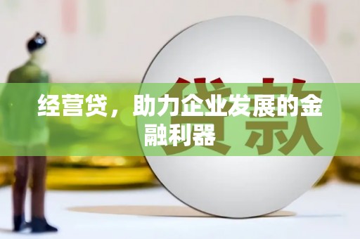 洛扎经营贷，助力企业发展的金融利器
