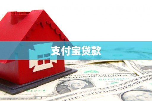 洛扎支付宝贷款