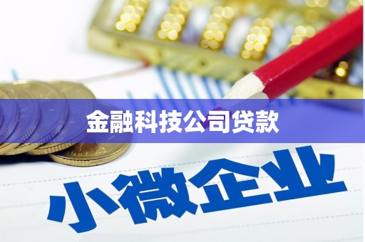 洛扎金融科技公司贷款