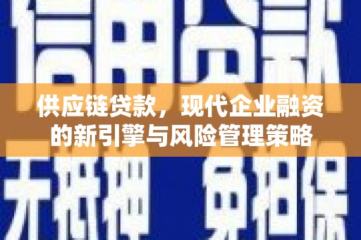 洛扎供应链贷款，现代企业融资的新引擎与风险管理策略
