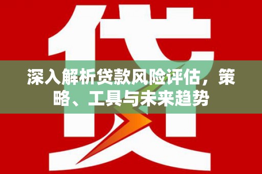 洛扎深入解析贷款风险评估，策略、工具与未来趋势