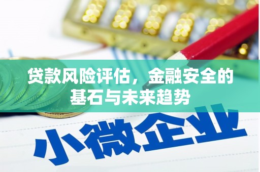 洛扎贷款风险评估，金融安全的基石与未来趋势