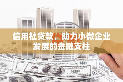 洛扎信用社贷款，助力小微企业发展的金融支柱