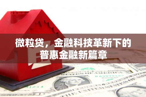 洛扎微粒贷，金融科技革新下的普惠金融新篇章