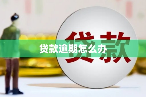 洛扎贷款逾期怎么办