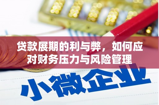 洛扎贷款展期的利与弊，如何应对财务压力与风险管理