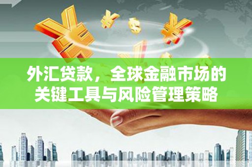 洛扎外汇贷款，全球金融市场的关键工具与风险管理策略