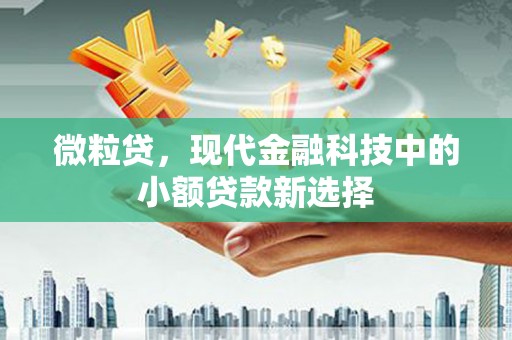 洛扎微粒贷，现代金融科技中的小额贷款新选择