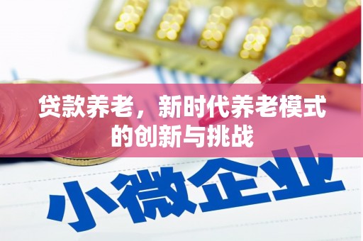 洛扎贷款养老，新时代养老模式的创新与挑战