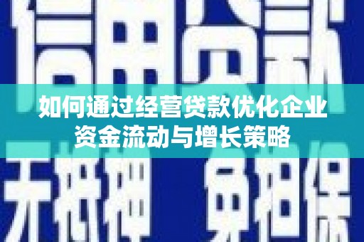 洛扎如何通过经营贷款优化企业资金流动与增长策略