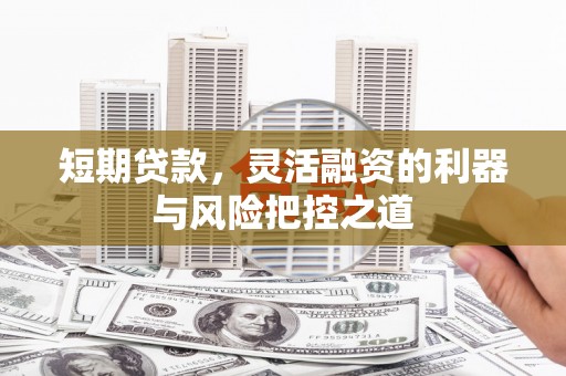 洛扎短期贷款，灵活融资的利器与风险把控之道