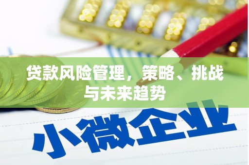 洛扎贷款风险管理，策略、挑战与未来趋势