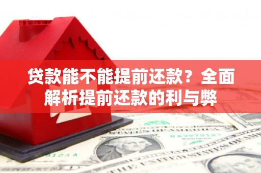 洛扎贷款能不能提前还款？全面解析提前还款的利与弊