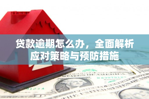 洛扎贷款逾期怎么办，全面解析应对策略与预防措施
