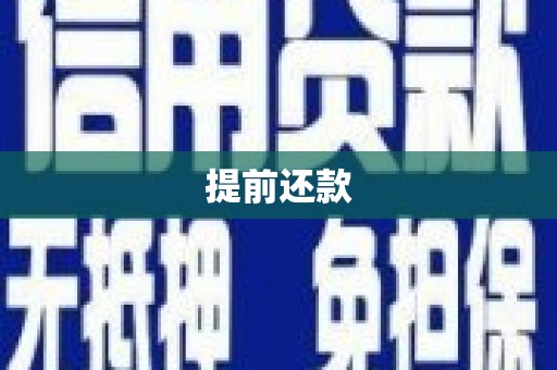 洛扎提前还款