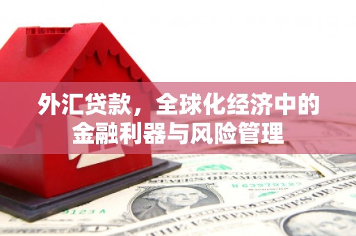 洛扎外汇贷款，全球化经济中的金融利器与风险管理