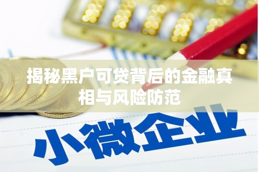 洛扎揭秘黑户可贷背后的金融真相与风险防范