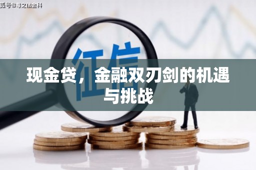 洛扎现金贷，金融双刃剑的机遇与挑战