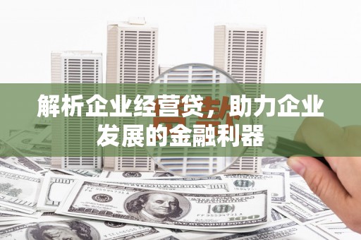 洛扎解析企业经营贷，助力企业发展的金融利器