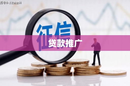 洛扎贷款推广