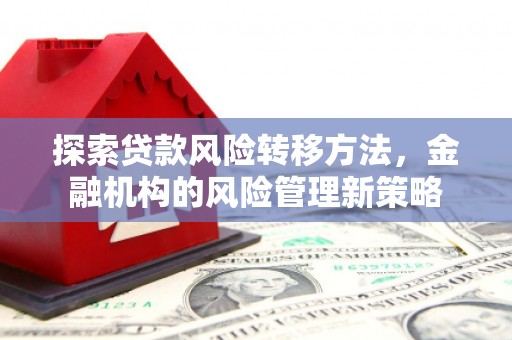 洛扎探索贷款风险转移方法，金融机构的风险管理新策略