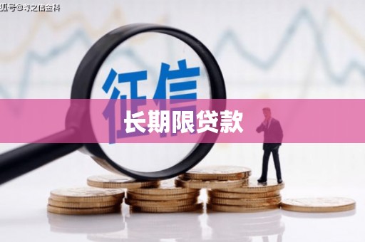 洛扎长期限贷款