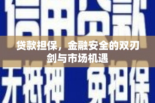 洛扎贷款担保，金融安全的双刃剑与市场机遇