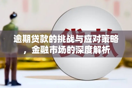 洛扎逾期贷款的挑战与应对策略，金融市场的深度解析