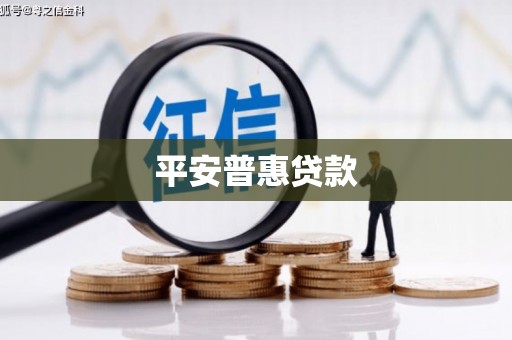 洛扎平安普惠贷款