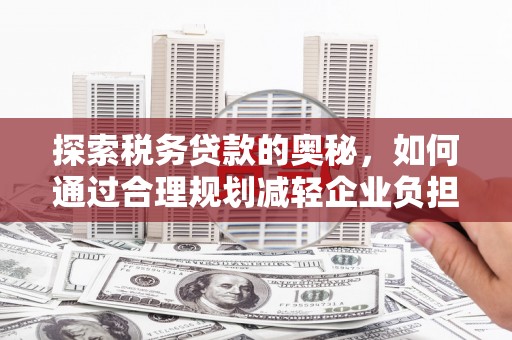 洛扎探索税务贷款的奥秘，如何通过合理规划减轻企业负担