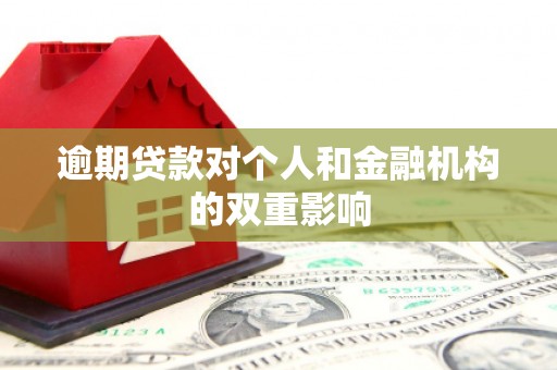 洛扎逾期贷款对个人和金融机构的双重影响