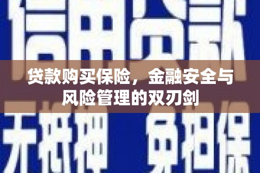 洛扎贷款购买保险，金融安全与风险管理的双刃剑