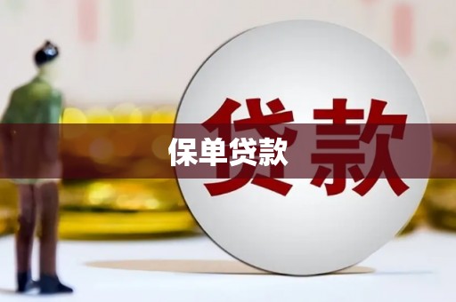 洛扎保单贷款