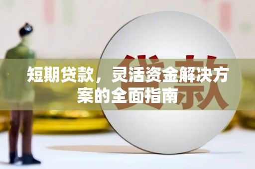 洛扎短期贷款，灵活资金解决方案的全面指南