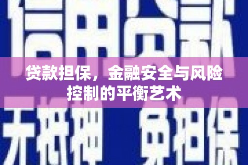 洛扎贷款担保，金融安全与风险控制的平衡艺术