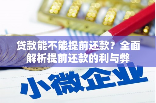 洛扎贷款能不能提前还款？全面解析提前还款的利与弊