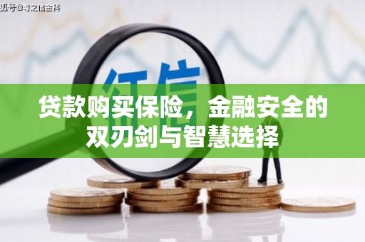 洛扎贷款购买保险，金融安全的双刃剑与智慧选择