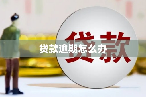 洛扎贷款逾期怎么办