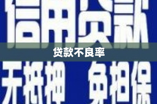 洛扎贷款不良率